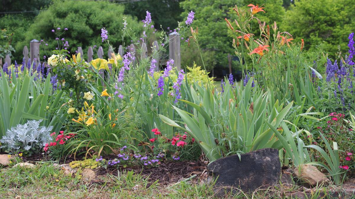 Garden Newbies